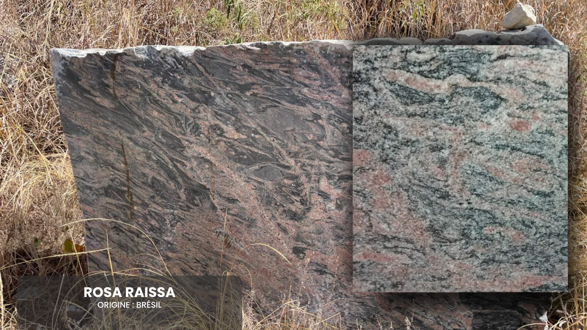 Bloco_Rosa Raissa
