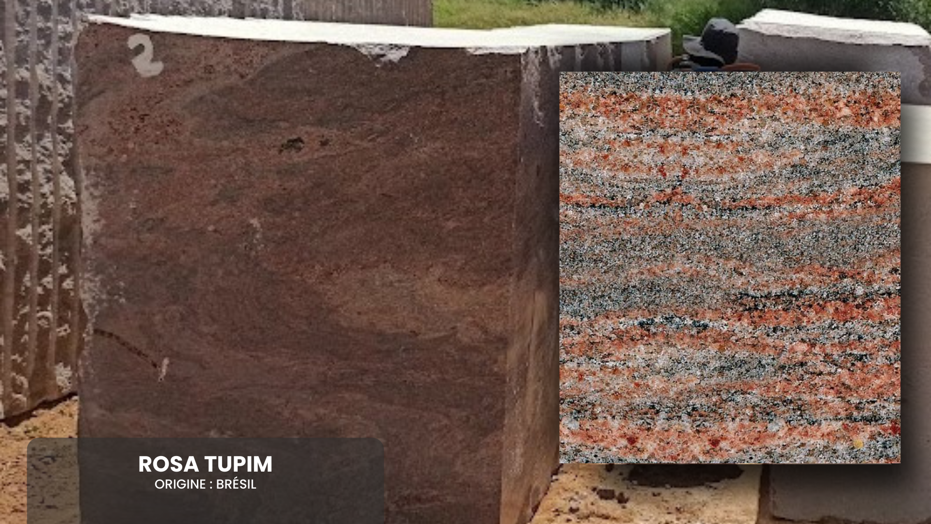 Bloco_Rosa Tupim