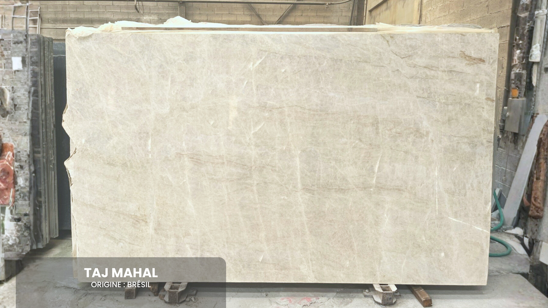 Tranche_Taj Mahal